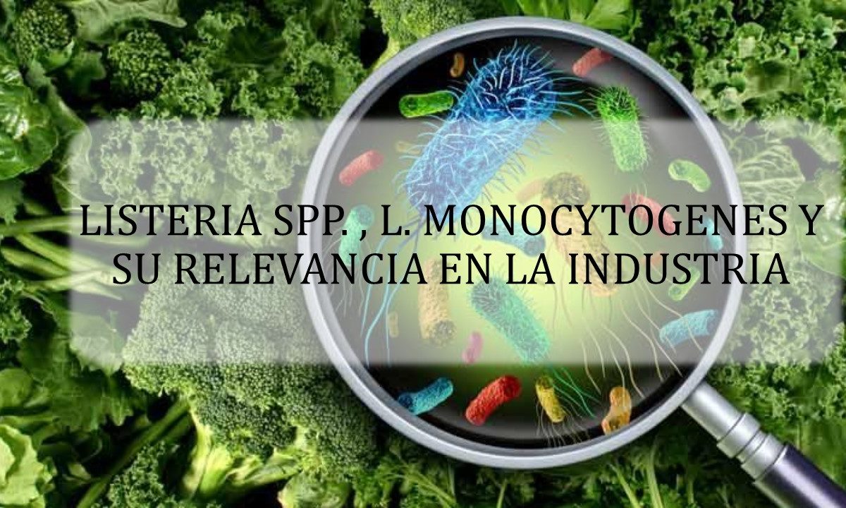 LISTERIA SPP. L. MONOCYTOGENES Y SU RELEVANCIA EN LA INDUSTRIA