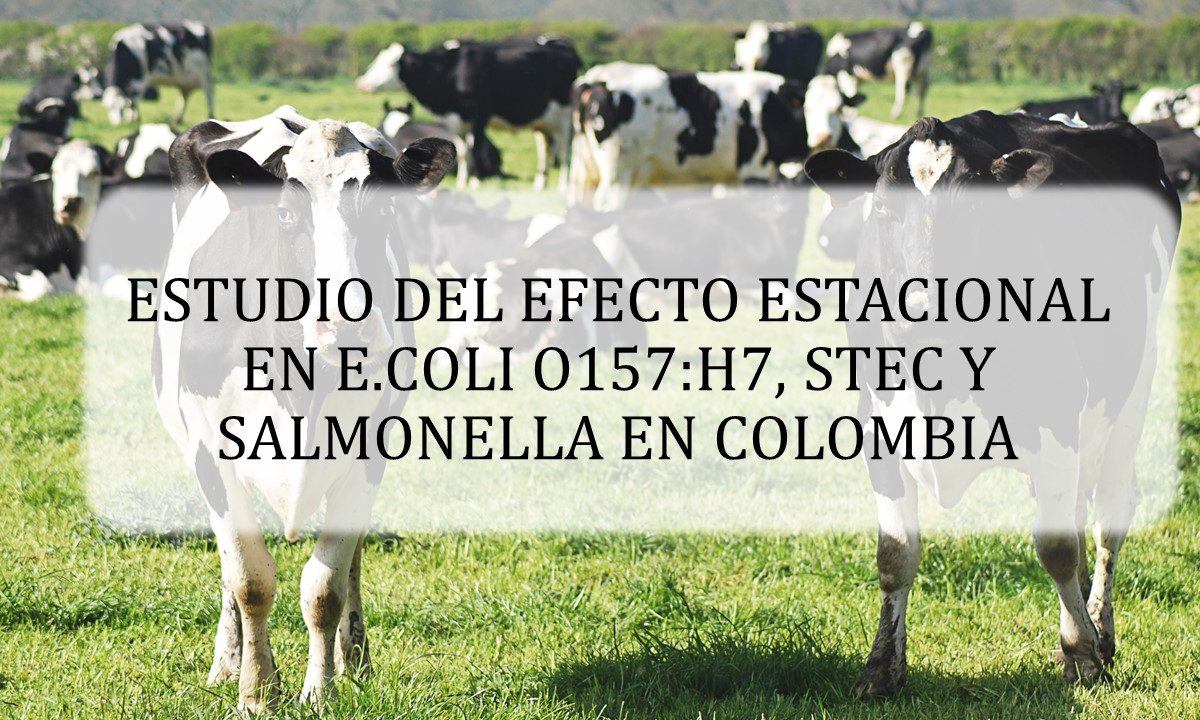 ESTUDIO DEL EFECTO ESTACIONAL EN E.COLI O157:H7, STEC NO O157 Y SALMONELLA EN COLOMBIA