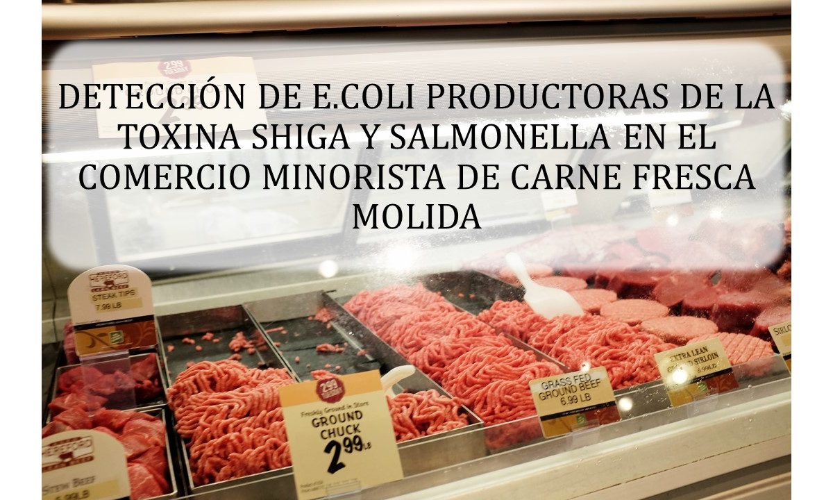 DETECCIÓN DE ESCHERICHIA COLI PRODUCTORAS DE LA TOXINA SHIGA (STEC) O157:H7, O26, O45, O103, O111, O121, O145 Y SALMONELLA EN EL COMERCIO MINORISTA DE CARNE FRESCA MOLIDA USANDO EL SISTEMA BAX – HYGIENA