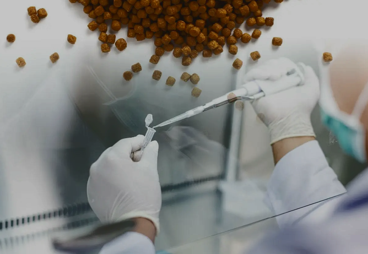 Dentro de la inocuidad alimentaria de los alimentos para mascotas: ¿Qué hace tan difícil la detección de Salmonella?