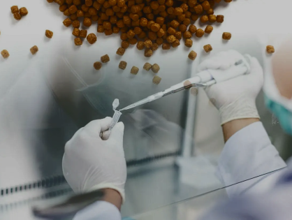 Dentro de la inocuidad alimentaria de los alimentos para mascotas: ¿Qué hace tan difícil la detección de Salmonella?